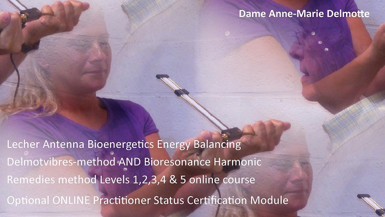 Lecher Antenna Bioenergetics Levels 1 to 5 flagship online course with VIP Training Experience