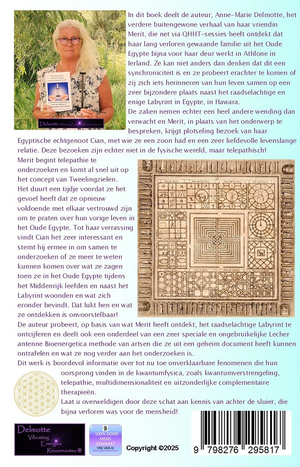 Achterflap boek Zielsresonantie: Tweelingzielen Telepathie, Goddelijke Liefde en Globale Vibrationele Genezing