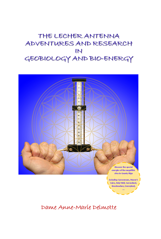 The Lecher Antenna Adeventures and Research - purchase in India