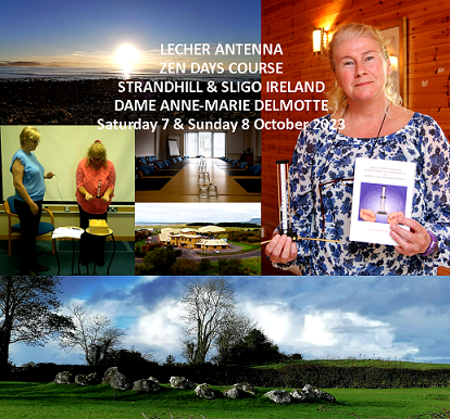 Lecher antenna in person training course May 23 Ireland