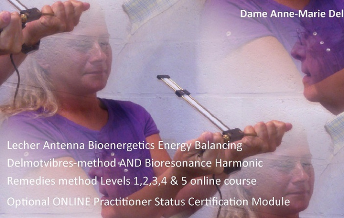 Lecher Antenna Bioenergetics Levels 1 to 5 flagship online course with VIP Training Experience