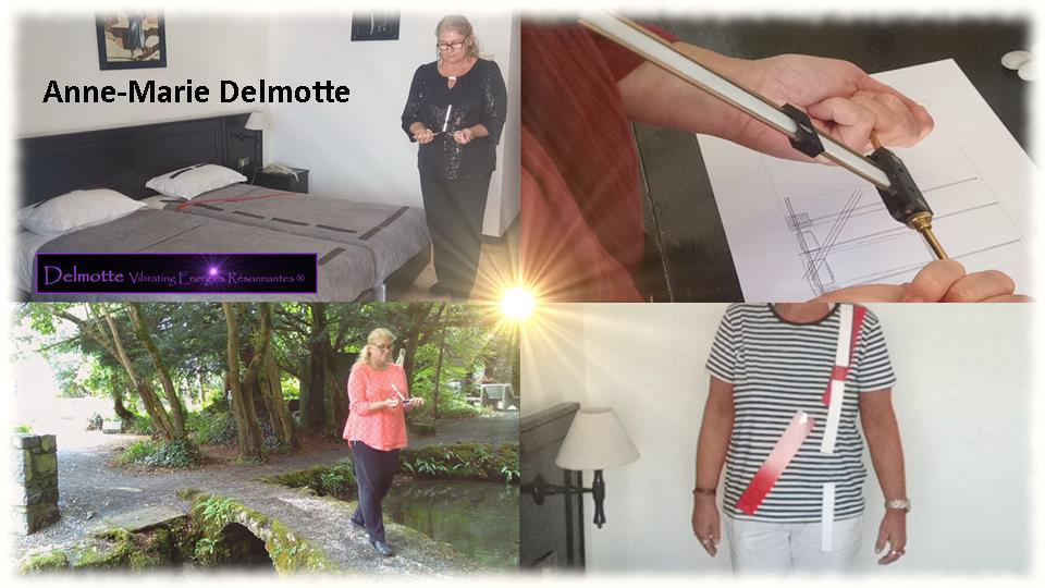 Lecher Antenna Dowsing Geobiology e-learning course