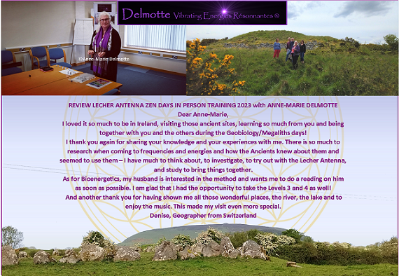 Review Lecher Antenna ZEN DAYS Ireland Delmotvibres