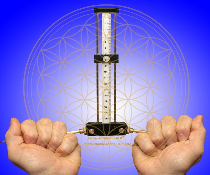 Lecher antenna CEREB