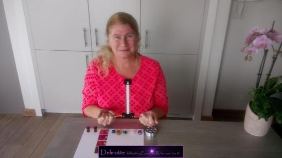 Lecher Antenna Bioenergetics Bioresonance Harmonic Remedies Levels 1,2,3 and 4