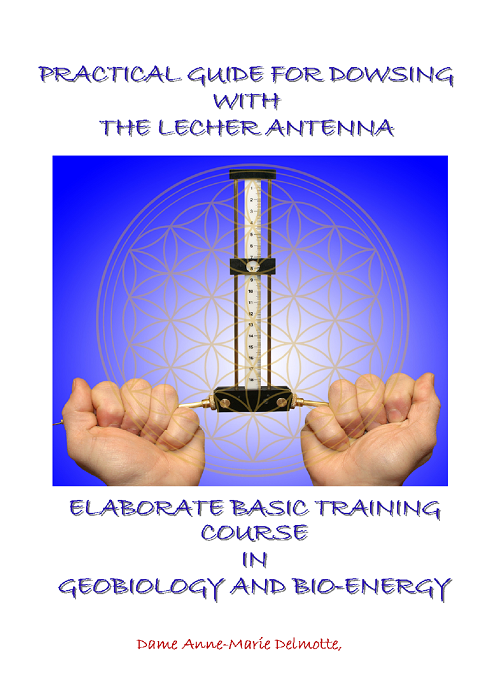 Buy Lecher Antenna Practical Guide in India