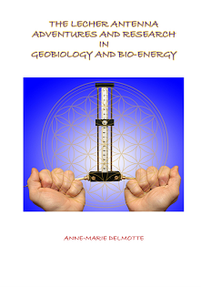 Front cover 1st edition Book about Lecher antenna