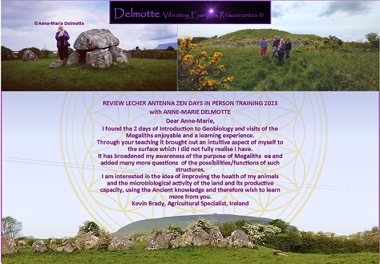 Review Lecher Antnna in person training course by Anne-Marie Delmotte