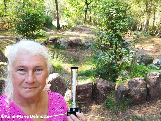 Lecher antenna neolithic geobiology