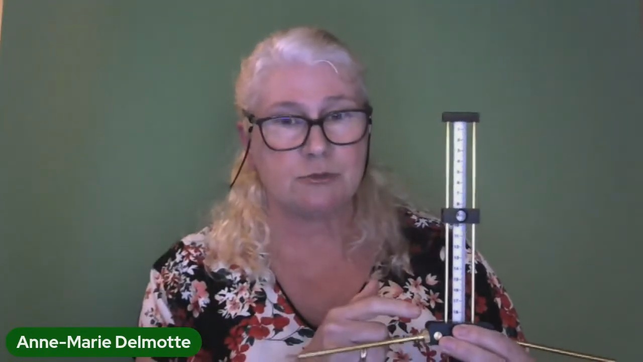 Anne-Marie Delmotte tutoring about the Lecher antenna