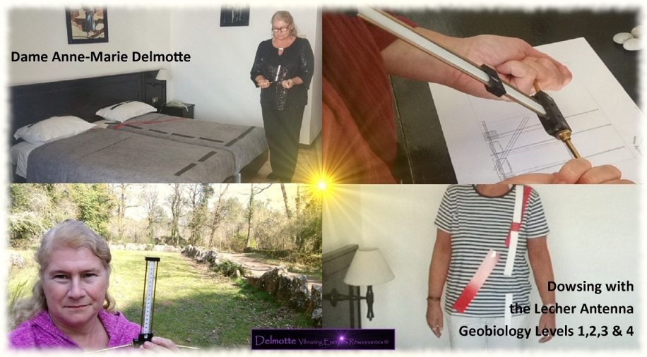 Lecher Antenna Geobiology Levels 1 to 4 lagship online course with VIP Training Experience